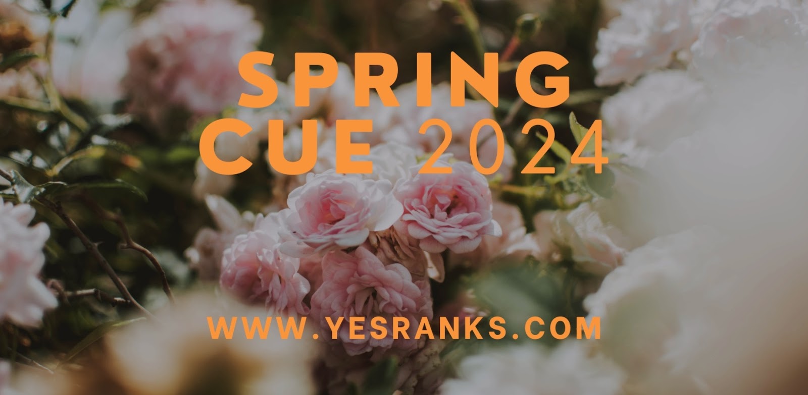 Spring Cue 2024 Registration Process, and Schedule
